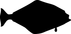 Halibut Fish Shape Printable Line Art Svg, Free Vectors File